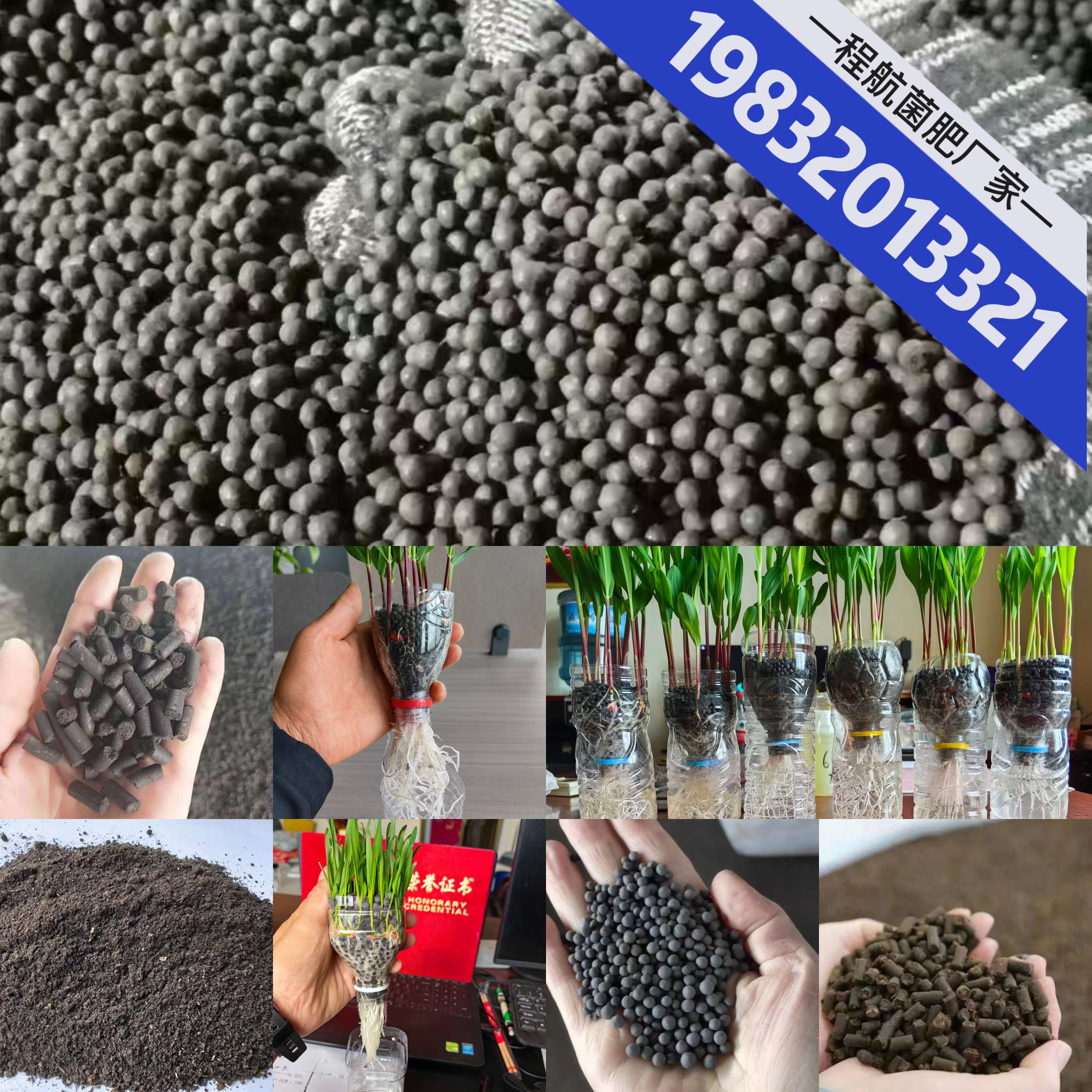 http://st-static1.ojynxef.cn/forums/2025/06/25/17508210784306.jpeg