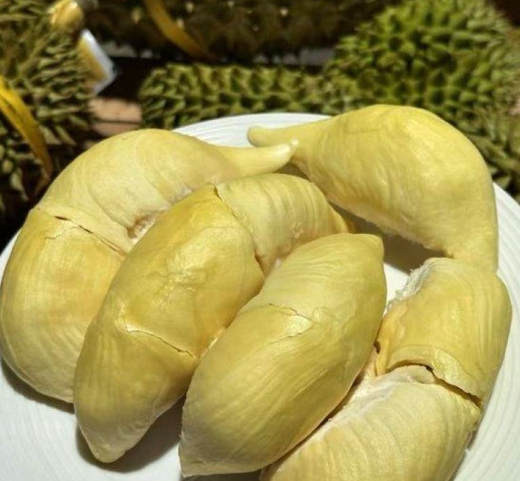 泰国甲仑榴莲
浓香满口，丝滑如奶油
甜甜糯糯，榴莲味浓郁
谁让它是泰国榴莲界的元