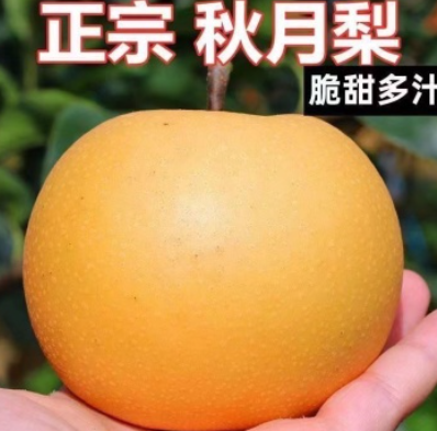 http://st-static1.ojynxef.cn/forums/2025/07/29/17537865122719.png
