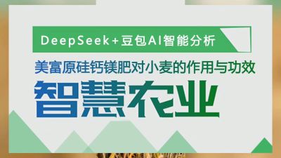 老铁们，马上准备冬小麦种植肥料了，我们用AI智慧农业分析了，美富原，叶碳酶乳酸肽活性硅，中药提取物加矿源，加枯草芽孢杆菌和胶冻样类芽孢杆菌的，中微量元素肥料硅钙镁肥，对小麦提质增产作用功效做分析，大家