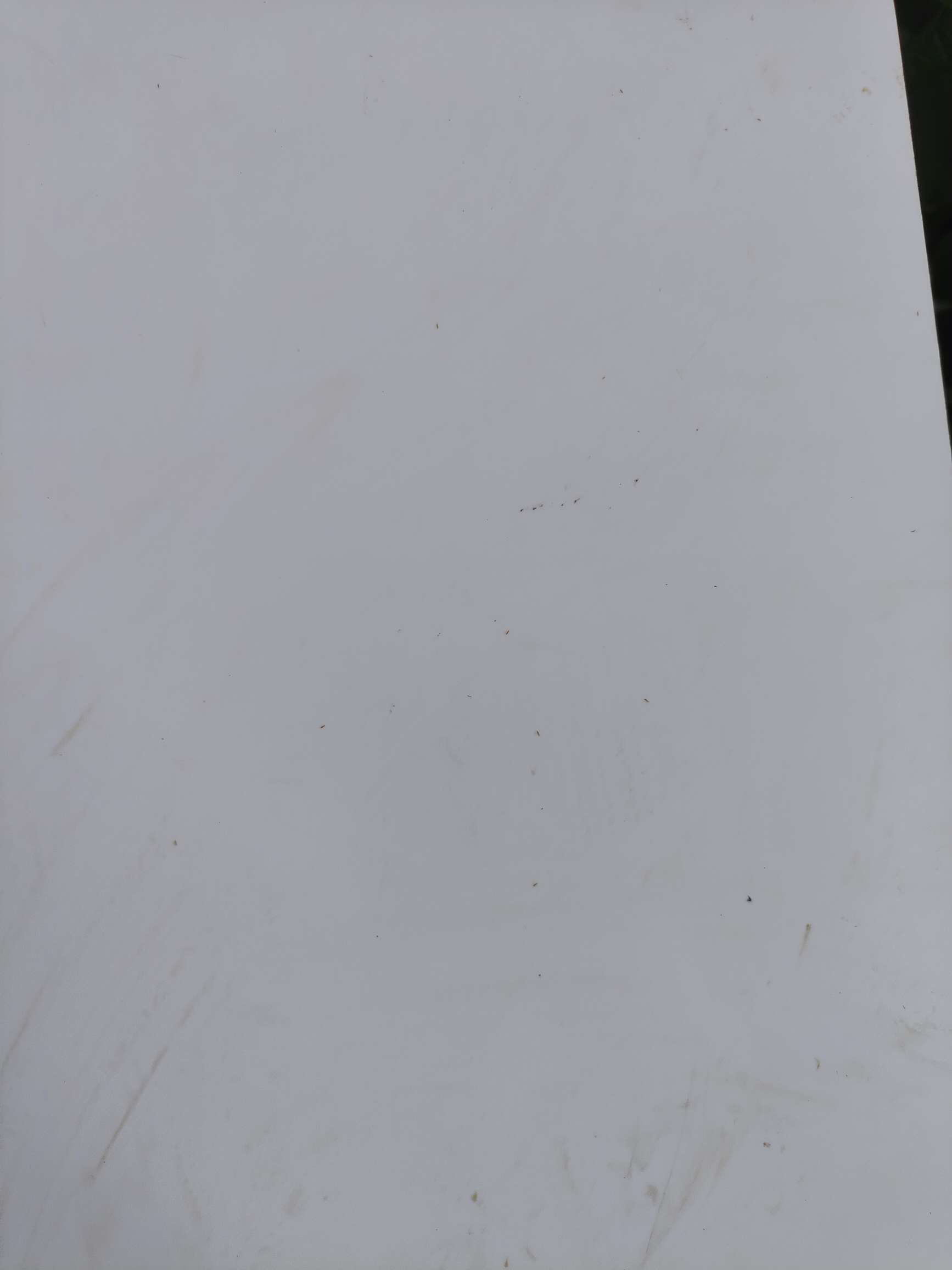 http://st-static1.ojynxef.cn/forums/2025/08/18/17555288245629.jpeg