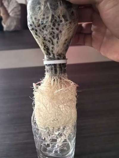 年销售量三十万吨的有机肥生产厂家，全国网点发货，资质齐全，正品保障！有机肥、生物菌肥、微生物肥料等