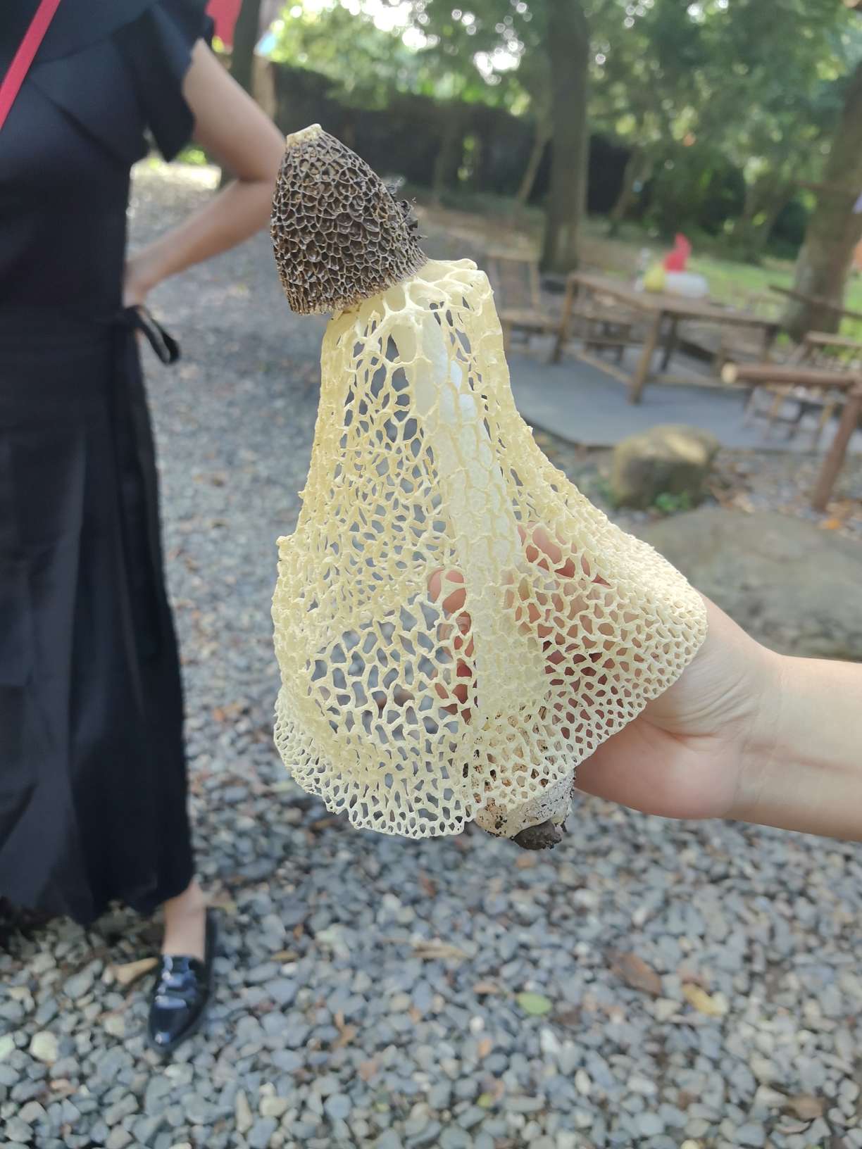 http://st-static1.ojynxef.cn/forums/2025/10/06/17597240712599.jpeg