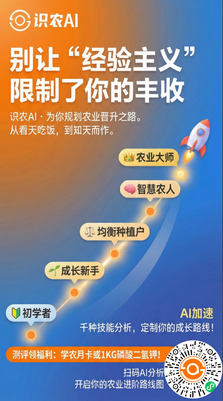 http://st-static1.ojynxef.cn/forums/2025/11/27/17642315792371.png
