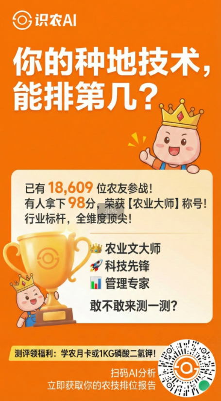 http://st-static1.ojynxef.cn/forums/2025/11/27/17642315818580.png