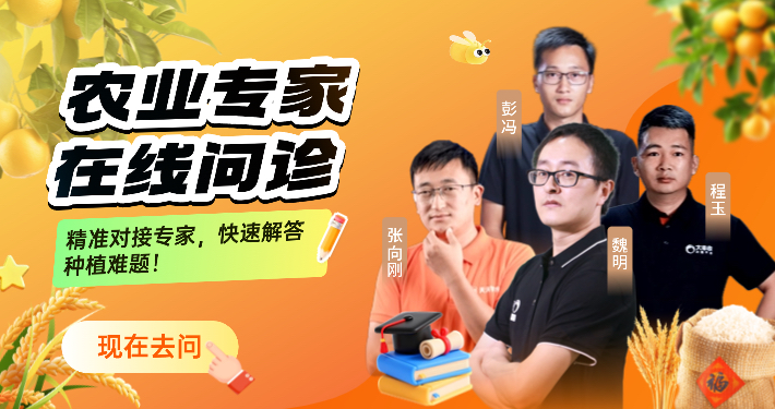 http://st-static1.ojynxef.cn/forums/2025/12/04/17648350671478.png