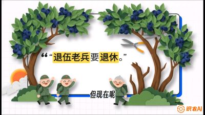 第7节：修剪决定产量（下）&mdash;&mdash;结果树的更新与疏果，课程：《蓝莓&ldquo;高产&rdquo;实战课：从选苗到丰收的10个关键点》