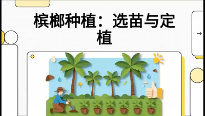 第01节：选苗与定植&mdash;&mdash;&ldquo;苗好一半收，底肥定千秋&rdquo;课程：《槟榔种植：从不懂到精通的10堂必修课》