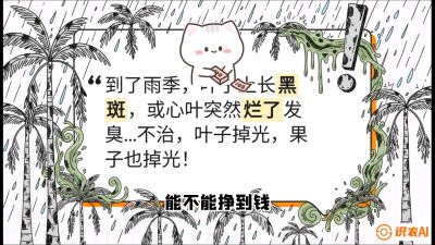 第05节：常见真菌病害&mdash;&mdash;&ldquo;炭疽与烂心，早防值千金&rdquo;《槟榔种植：从不懂到精通的10堂必修课》