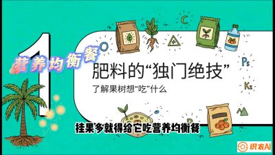 第07节：科学施肥&mdash;&mdash;&ldquo;氮磷钾配好，树壮果不倒