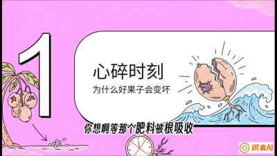 第08节：微量元素与保果&mdash;&mdash;&ldquo;补硼又补钙，果子不裂坏&rdquo;《槟榔种植：从不懂到精通的10堂必修课》