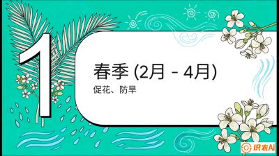 第10节：周年农事日历&mdash;&mdash;&ldquo;跟着节气走，丰产在手头&rdquo;《槟榔种植：从不懂到精通的10堂必修课》