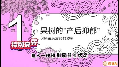 第2节：【冬肥策略】采后&ldquo;月子肥&rdquo;：大小年的精准干预术，课程：《柑橘底肥&ldquo;翻身账&rdquo;：从改土到高产的实战全书》