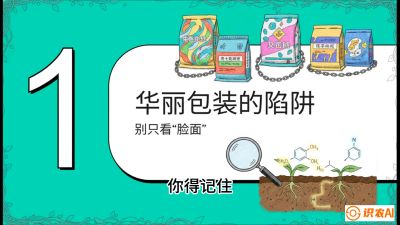 第4节：【黄金配方】底肥里的&ldquo;铁三角&rdquo;与&ldquo;微量雷区&rdquo;课程：《柑橘底肥&ldquo;翻身账&rdquo;：从改土到高产的实战全书》