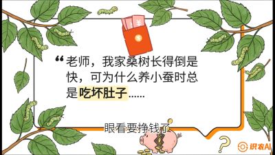 第01节：不仅仅是树&mdash;&mdash;顶级品种选配策略，课程：《桑海淘金：桑树高产与蚕桑安全进阶实战课》