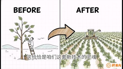 第02节：把树变成草&mdash;&mdash;&ldquo;草本化密植&rdquo;技术，课程：《桑海淘金：桑树高产与蚕桑安全进阶实战课》