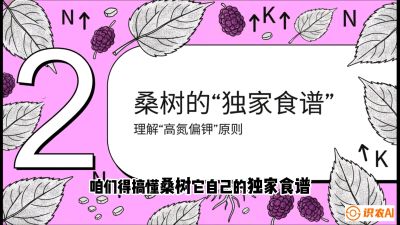 第04节：地下核动力&mdash;&mdash;桑树专用水肥一体化配方，课程：《桑海淘金：桑树高产与蚕桑安全进阶实战课》