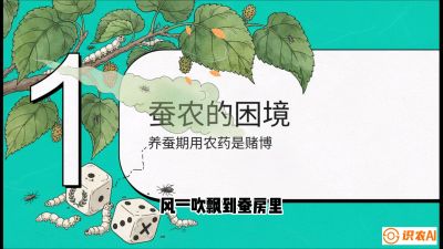 第06节：虫口夺叶（上）&mdash;&mdash;物理与生物防控绝技，课程《桑海淘金：桑树高产与蚕桑安全进阶实战课》