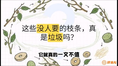 第12节：变废为宝&mdash;&mdash;循环农业实操，课程：《桑海淘金：桑树高产与蚕桑安全进阶实战课》