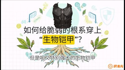 第三节：国产榴莲突围战：根系堡垒，菌根微生态构建与黄金定植窗口，课程：《国产榴莲突围战：从泰国经验到中国实操的8堂必修课（高阶实战版）》
