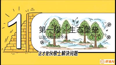 第七节：榴莲防御战：病虫害三级立体防控，疫霉菌与虫害的立体封锁线，课程：《国产榴莲突围战：从泰国经验到中国实操的8堂必修课（高阶实战版）》