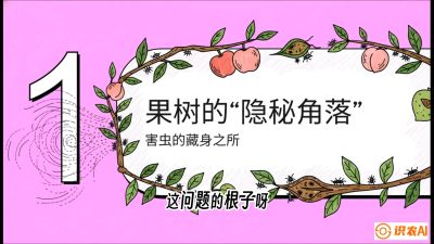 第3节：无人机专治&ldquo;打不透&rdquo;&mdash;&mdash;果树与高杆作物的穿透技巧，课程：《无人机植保搞钱必修课：从&ldquo;瞎飞&rdquo;到&ldquo;懂行&rdquo;的6步进阶》