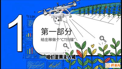 第5节：无人机也能&ldquo;看病抓药&rdquo;&mdash;&mdash;处方图与变量施肥入门，课程：《无人机植保搞钱必修课：从&ldquo;瞎飞&rdquo;到&ldquo;懂行&rdquo;的6步进阶》