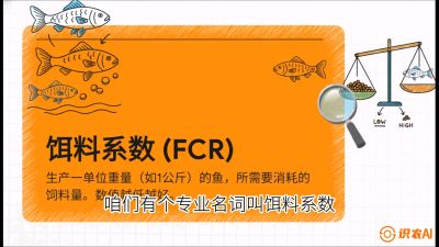 第五节：【高端单品&middot;鳜鱼】&ldquo;饲料鳜&rdquo;技术：打破吃活饵的高成本魔咒，课程：《黄金鳞甲：2025中国淡水鱼高效养殖实战营》