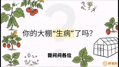 第2节（解毒篇）： 大棚里的&ldquo;红白绿&rdquo;警报&mdash;&mdash;读懂土壤盐渍化的求救信号，课程：《揭秘土壤的秘密：让土地帮你赚钱》#识农AI