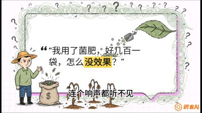 第4节（活化篇）： 土壤里的&ldquo;雇佣兵&rdquo;&mdash;&mdash;如何用菌剂以小博大，解决死棵难题，课程：《揭秘土壤的秘密：让土地帮你赚钱》#识农AI