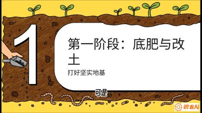 第6节（统筹篇）： 省钱又增产的&ldquo;黄金配比&rdquo;&mdash;&mdash;不同作物全年的养土实操方案，课程：《揭秘土壤的秘密：让土地帮你赚钱》#识农AI