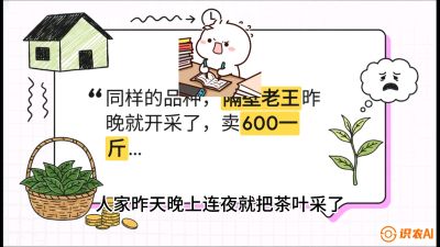 第01节（抢早篇）：与老天爷抢饭吃：如何利用&ldquo;温差阈值&rdquo;让头采茶提前5天上市？，课程：《茶金时代：从&ldquo;看天吃饭&rdquo;到&ldquo;精准控局&rdquo;的茶叶高产提质实战课》