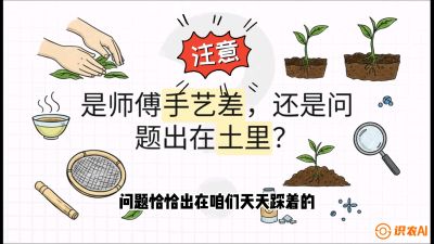 第02节（土肥篇）：告别&ldquo;苦涩水味&rdquo;：揭秘&ldquo;碳氮比&rdquo;调控术，种出自带兰花香的好茶底，课程：《茶金时代：从&ldquo;看天吃饭&rdquo;到&ldquo;精准控局&rdquo;的茶叶高产提质实战课》