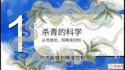第05节（加工篇）：决胜2分钟：用&ldquo;数字温控&rdquo;破解杀青不匀，复刻大师级手工口感，课程：《茶金时代：从&ldquo;看天吃饭&rdquo;到&ldquo;精准控局&rdquo;的茶叶高产提质实战课》