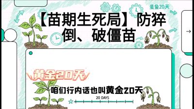 第2节：【苗期生死局】防猝倒、破僵苗，决定后期产量的&ldquo;黄金20天&rdquo;，课程：《辣椒种植实战特训营，从工业辣椒到精品小米辣，教你如何把&ldquo;草&rdquo;种成&ldquo;金&rdquo;》