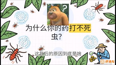 第4节：【虫害歼灭战】打不死的蓟马、隐形的茶黄螨：抗性时代的&ldquo;混配绝杀&rdquo;，课程：《辣椒种植实战特训营，从工业辣椒到精品小米辣，教你如何把&ldquo;草&rdquo;种成&ldquo;金&rdquo;》