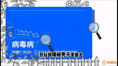 第5节：【病毒病阻击】辣椒的&ldquo;癌症&rdquo;怎么治？从&ldquo;绝收恐慌&rdquo;到&ldquo;带毒生产&rdquo;的逆转术，课程：《辣椒种植实战特训营，从工业辣椒到精品小米辣，教你如何把&ldquo;草&rdquo;种成&ldquo;金&rdquo;》