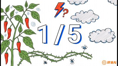 第6节：【花果爆发术】落花落果的五大元凶，与&ldquo;三喷一保&rdquo;坐果黑科技，课程：《辣椒种植实战特训营，从工业辣椒到精品小米辣，教你如何把&ldquo;草&rdquo;种成&ldquo;金&rdquo;》