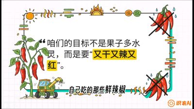第7节：【工业辣椒专场】追求极致辣度！干物质提升与机械化采收的&ldquo;催红秘籍&rdquo;，课程：《辣椒种植实战特训营，从工业辣椒到精品小米辣，教你如何把&ldquo;草&rdquo;种成&ldquo;金&rdquo;》