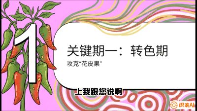 第8节：【小米辣线椒专场】颜值即正义！防花皮、防炭疽，打造收购商抢着要的&ldquo;精品果&rdquo;，课程：《辣椒种植实战特训营，从工业辣椒到精品小米辣，教你如何把&ldquo;草&rdquo;种成&ldquo;金&rdquo;》