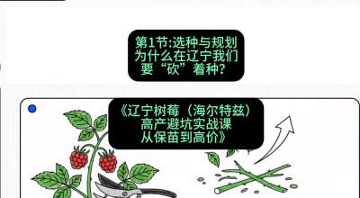 第一节： 选种与规划&mdash;&mdash;为什么在辽宁我们要&ldquo;砍&rdquo;着种？，课程：《辽宁树莓（海尔特兹）高产避坑实战课：从保苗到高价》