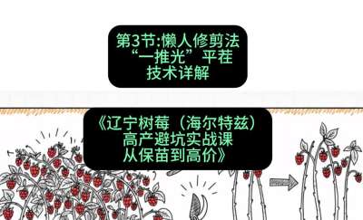 第三节： 懒人修剪法&mdash;&mdash;&ldquo;一推光&rdquo;平茬技术详解，课程：《辽宁树莓（海尔特兹）高产避坑实战课：从保苗到高价》