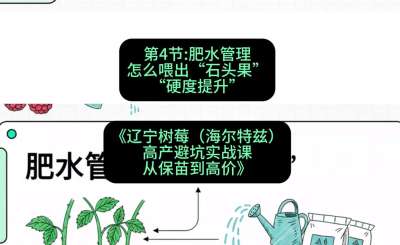 第四节： 肥水管理&mdash;&mdash;怎么喂出&ldquo;石头果&rdquo;（硬度提升），课程：《辽宁树莓（海尔特兹）高产避坑实战课：从保苗到高价》