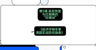 第5节：【柑橘清园】采后恢复与红蜘蛛的&ldquo;拉锯战&rdquo;，课程：《经济作物冬季清园&middot;实战防坑指南》#识农AI