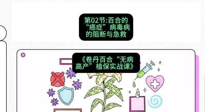 第02节：百合的&ldquo;癌症&rdquo;&mdash;&mdash;病毒病的阻断与急救，课程：《卷丹百合&ldquo;无病高产&rdquo;植保实战课》#识农AI