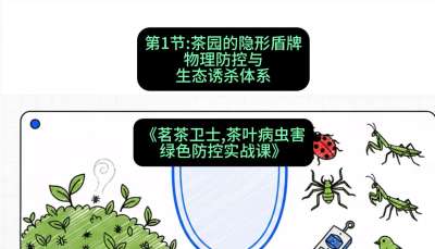 第01节：茶园的&ldquo;隐形盾牌&rdquo;&mdash;&mdash;物理防控与生态诱杀体系，课程：《茗茶卫士&mdash;&mdash;茶叶病虫害绿色防控实战课》#识农AI