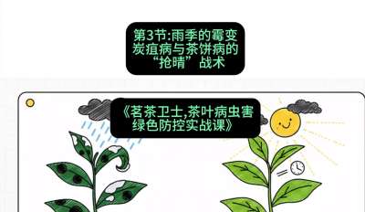 第03节：雨季的霉变&mdash;&mdash;炭疽病与茶饼病的&ldquo;抢晴&rdquo;战术，课程：《茗茶卫士&mdash;&mdash;茶叶病虫害绿色防控实战课》#识农AI