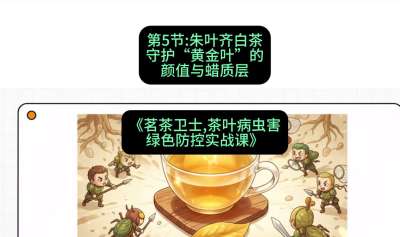 第05节：朱叶齐白茶&mdash;&mdash;守护&ldquo;黄金叶&rdquo;的颜值与蜡质层（重点），课程：《茗茶卫士&mdash;&mdash;茶叶病虫害绿色防控实战课》#识农AI