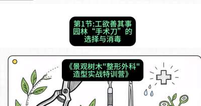 第01节：工欲善其事&mdash;&mdash;园林&ldquo;手术刀&rdquo;的选择与消毒，课程：《景观树木&ldquo;整形外科&rdquo;造型实战特训营》#识农AI