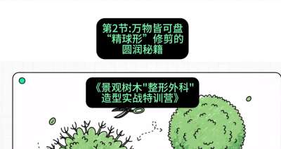 第02节：万物皆可盘&mdash;&mdash;&ldquo;精球形&rdquo;修剪的圆润秘籍，课程：《景观树木&ldquo;整形外科&rdquo;造型实战特训营》#识农AI